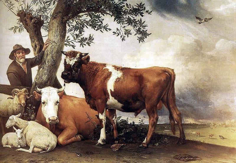 paulus potter The bull. oil painting picture